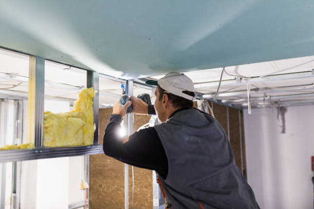 Best Insulation Materials and Products in Mineral Springs, NC
