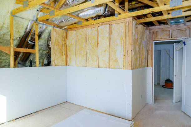 Best Insulation Maintenance and Repair in Mineral Springs, NC